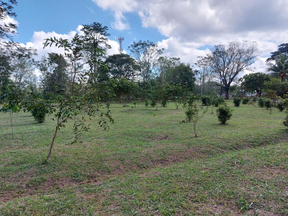 Eco Hotel Lachua Cobán Buitenkant foto